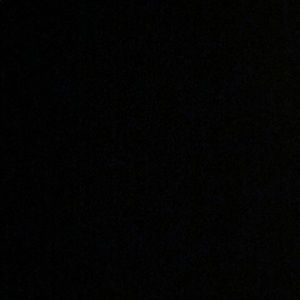 Meet your Posher, Abbey